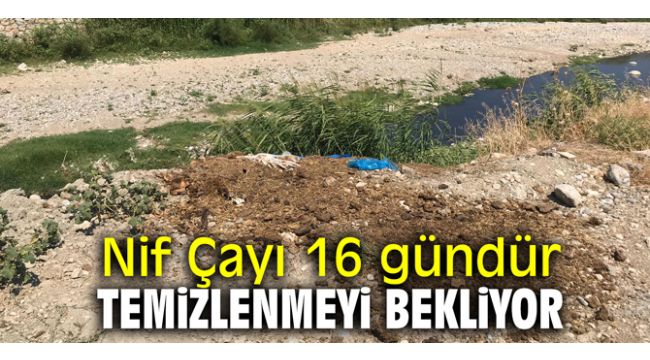 Nif Çayı 16 gündür temizlenmeyi bekliyor