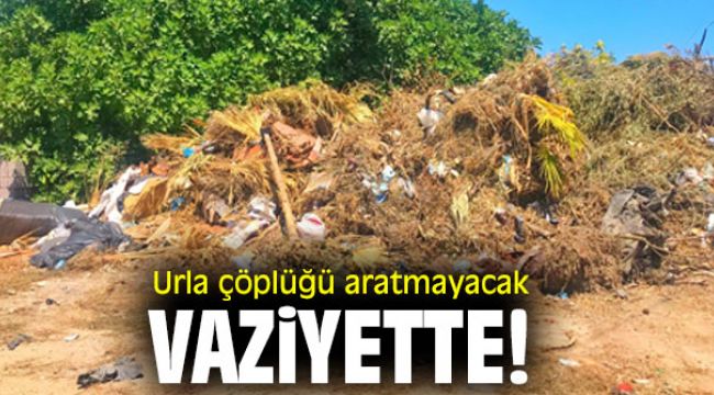 Urla çöplüğü aratmayacak vaziyette!