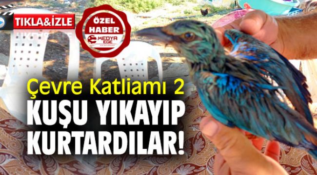 ÇEVRE KATLİAMI 2... KUŞU YIKAYIP KURTARDILAR!