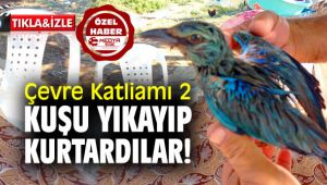 ÇEVRE KATLİAMI 2... KUŞU YIKAYIP KURTARDILAR!