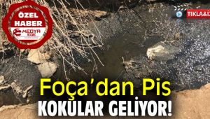 Foça’dan “Pis Kokular” Geliyor!