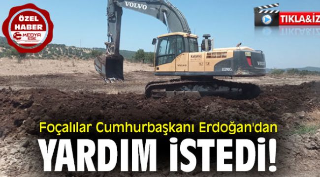 Foçalılar Cumhurbaşkanı Erdoğan'dan yardım istedi!