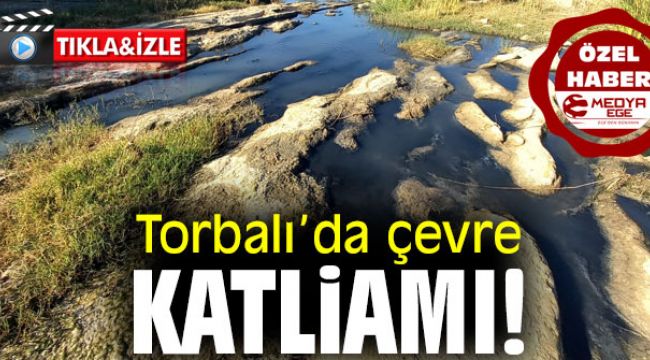 TORBALI’DA ÇEVRE KATLİAMI!