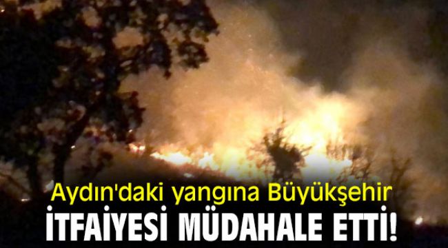 Aydın'daki yangına  Büyükşehir İtfaiyesi Müdahale etti!