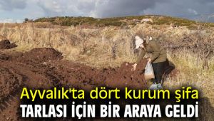 Ayvalık'ta dört kurum şifa tarlası için bir araya geldi