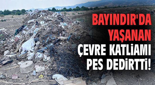 Bayındır'da yaşanan çevre katliamı pes dedirtti!