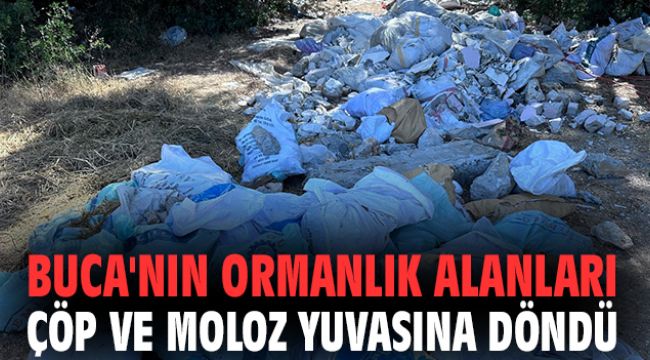 Buca'nın ormanlık alanları çöp ve moloz yuvasına döndü