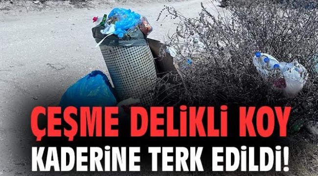 Çeşme Delikli Koy kaderine terk edildi!