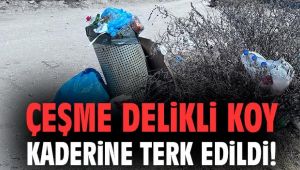 Çeşme Delikli Koy kaderine terk edildi!