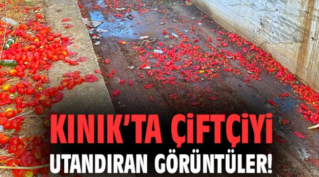 Kınık’ta çiftçiyi utandıran görüntüler!