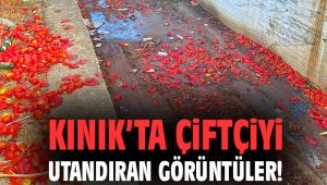 Kınık’ta çiftçiyi utandıran görüntüler!